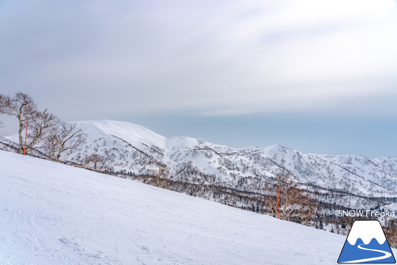 キロロリゾート｜まだまだ山頂は積雪４ｍ超！楽しい春スキー＆スノーボードシーズン到来です(^^)v